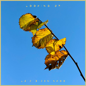 猛男虐🐔巴免费视频
